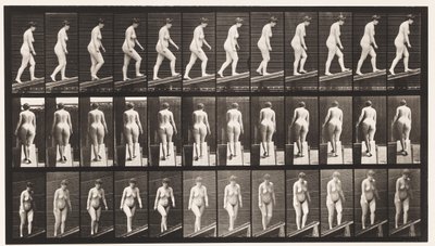 Tafel 77. Steigung hinaufsteigen von Eadweard Muybridge