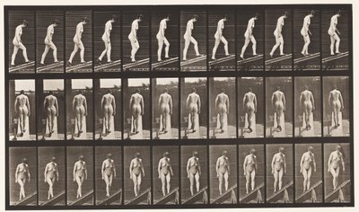 Tafel 85. Steigung hinaufsteigen von Eadweard Muybridge