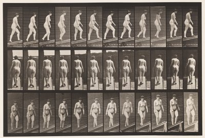 Tafel 86. Abwärts geneigt von Eadweard Muybridge