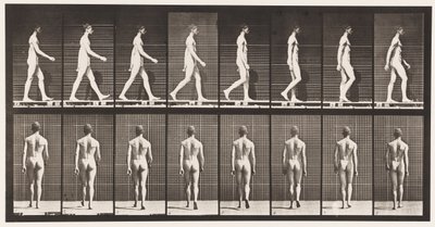 Tafel 8. Gehen von Eadweard Muybridge