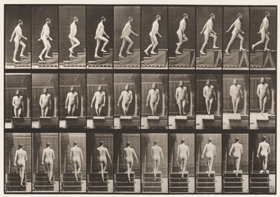 Tafel 90. Treppensteigen von Eadweard Muybridge