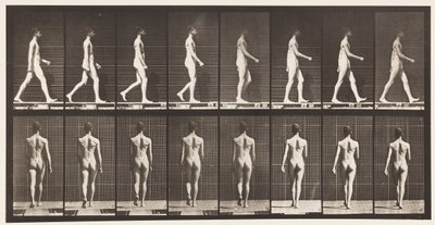 Tafel 9. Gehen von Eadweard Muybridge