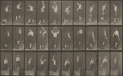 Platte Nummer 504. Auf- und absteigende Treppen von Eadweard Muybridge
