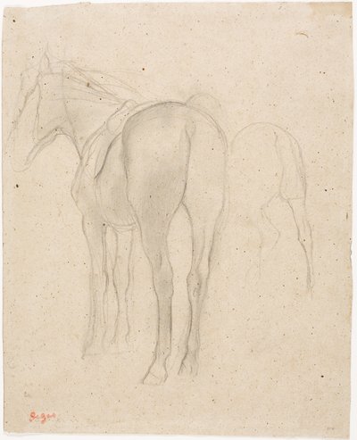 Studien eines Pferdes von Edgar Degas