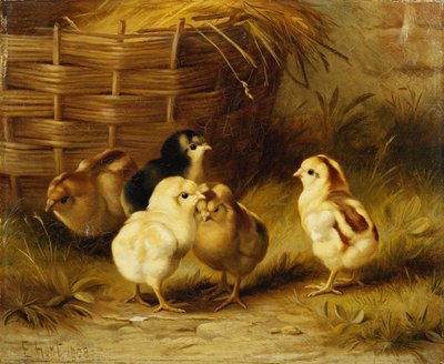 Küken bei einem Korb von Edgar Hunt