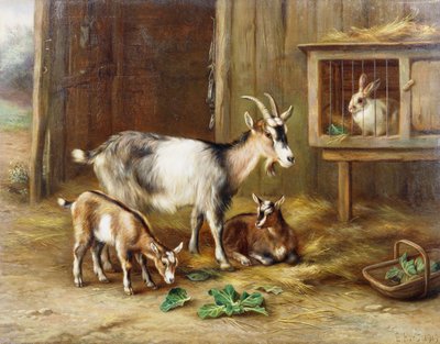 Ziegen bei einem Kaninchenstall von Edgar Hunt