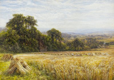 Erntezeit von Edmund George Warren