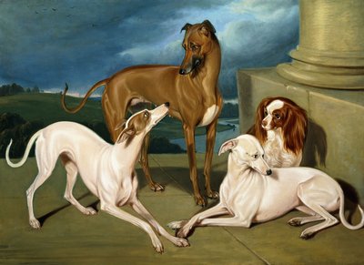 Windhunde und ein Königsspaniel, 1837 von Edmund Jr Havell