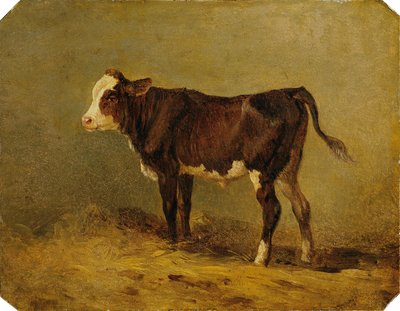 Kälbchen von Edmund Mahlknecht