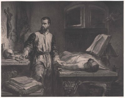 Andreas Vesalius von Edouard Jean Conrad (after) Hamman