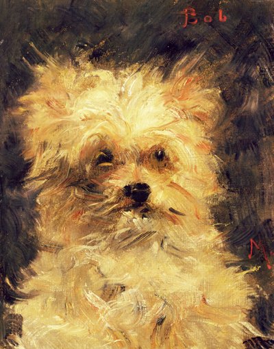 Kopf eines Hundes - Bob, 1876 von Édouard Manet