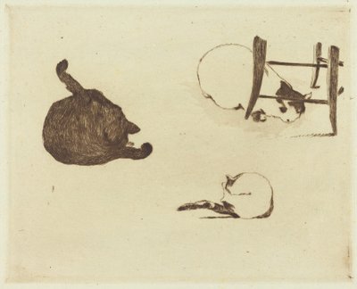 Die Katzen, 1869 von Édouard Manet
