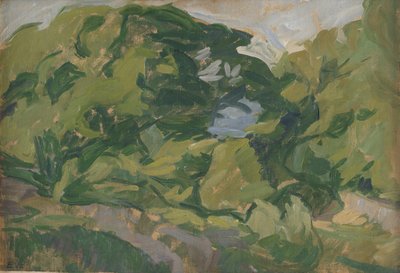 Landschaft, Christiansø von Edvard Weie