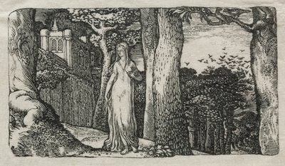 Die Dame und die Krähen von Edward Calvert
