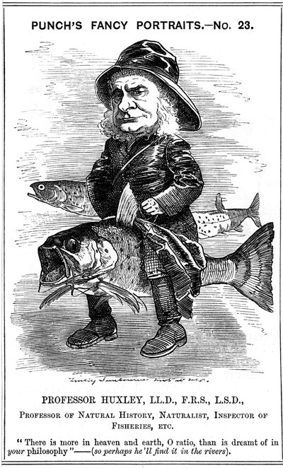 Thomas Henry Huxley, englischer Biologe, 1881 von Edward Linley Sambourne