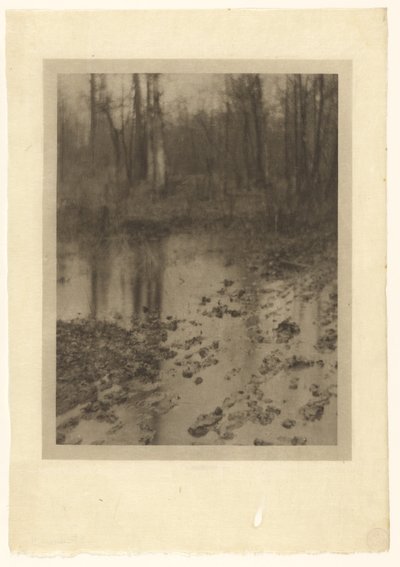 Der Teich von Edward Steichen