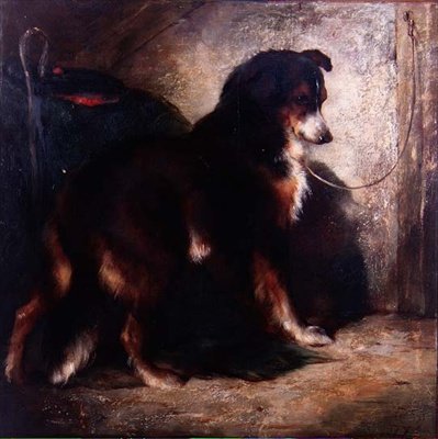 Der Schäferhund von Edwin Douglas