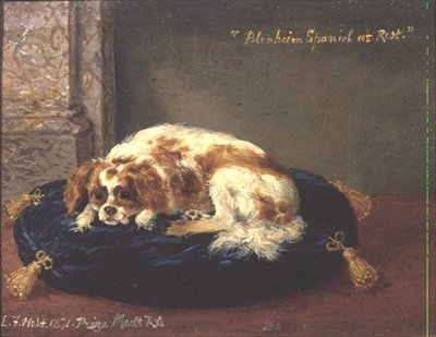 Blenheim Spaniel in Ruhe von Edwin Frederick Holt