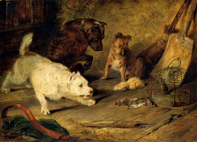 Rattenfänger von Edwin Henry Landseer