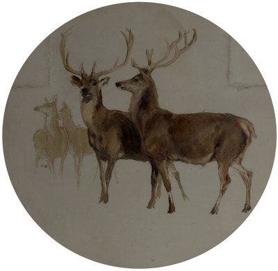 Hirsche in einer Landschaft (Studien von Hirschen) von Edwin Landseer