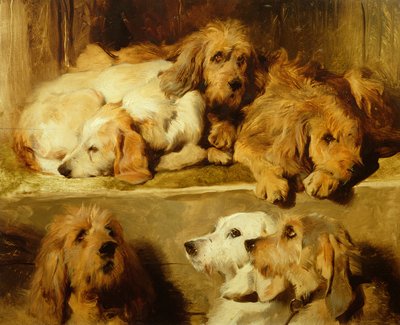 Hunde in einem Zwinger von Edwin Landseer