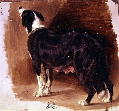 Skizze eines Collies von Edwin Landseer