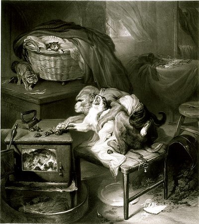 Die Katzenpfote von Edwin Landseer