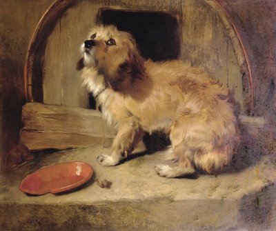 Nirgendwo ist es wie Zuhause von Edwin Landseer