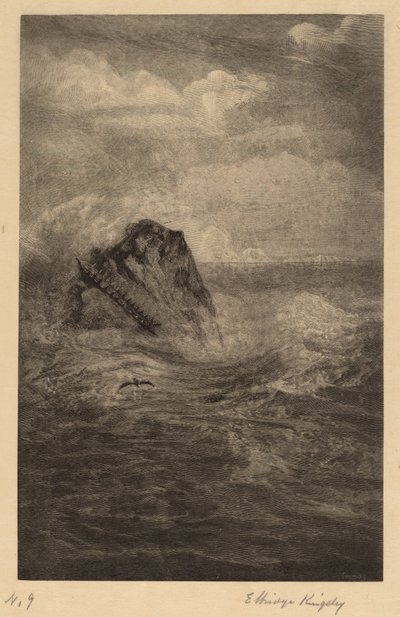 Ein Felsen im Meer von Elbridge Kingsley