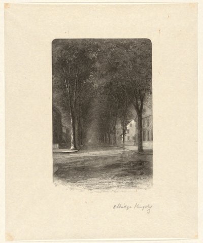 Ohne Titel [Baumgesäumte Straße] von Elbridge Kingsley