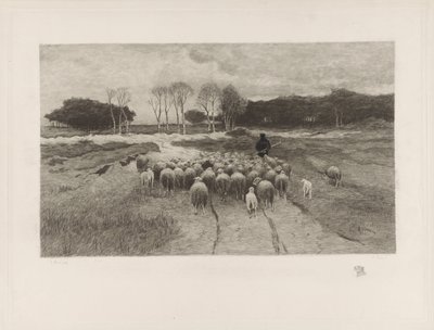 Schäfer von Elias Stark