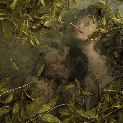 Versteckt im Paradies von Elinleticia Högabo