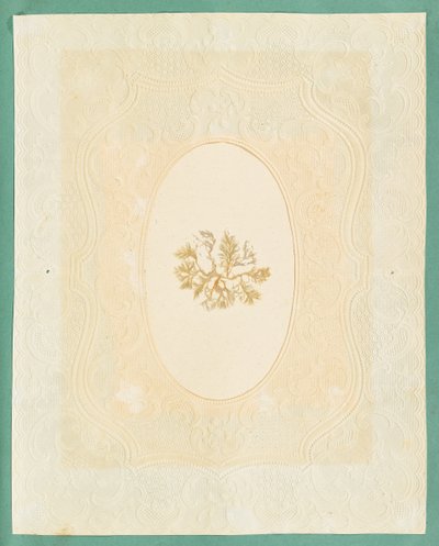 Seetang von Eliza A. Jordson