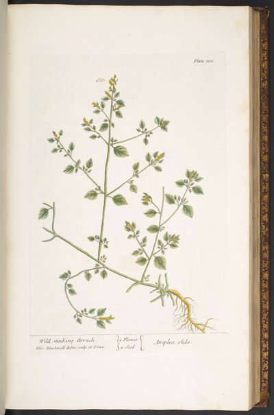 Tafel 100, aus 