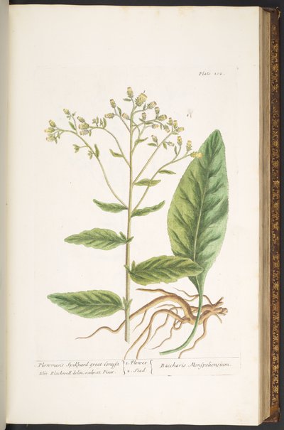 Tafel 102, aus 