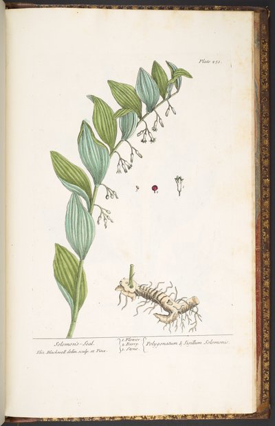 Tafel 251, aus 