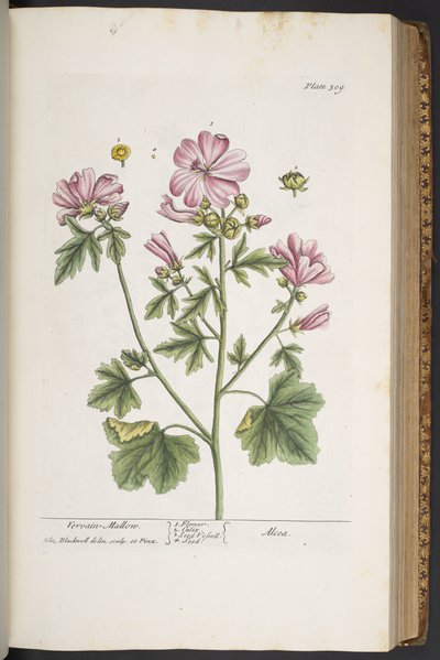 Tafel 309, aus 