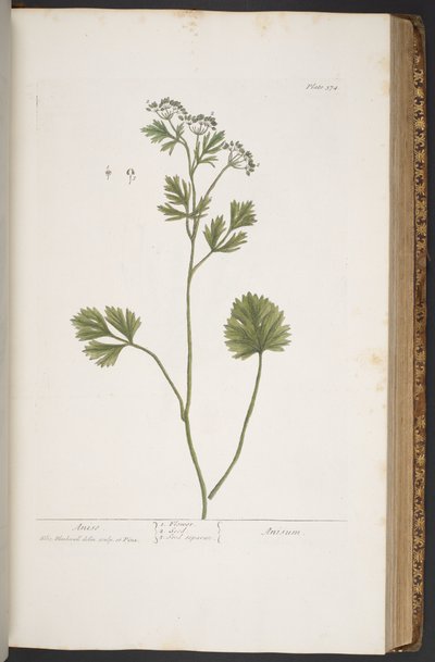 Tafel 374, aus 