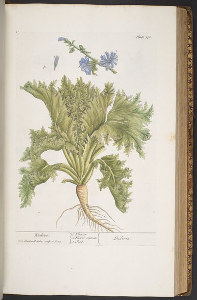 Tafel 378, aus 