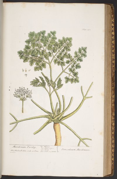 Tafel 382, aus 