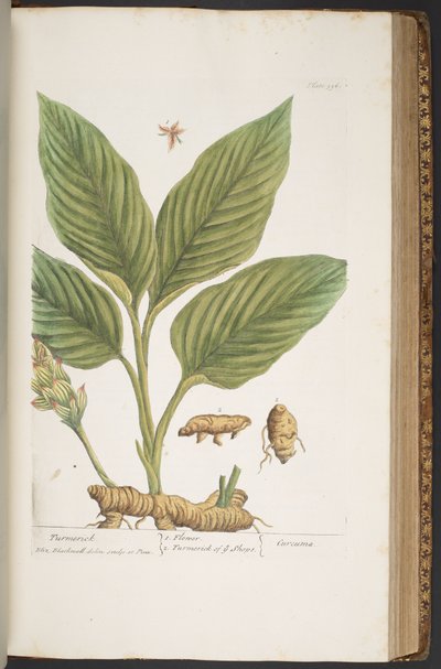 Tafel 396, aus 