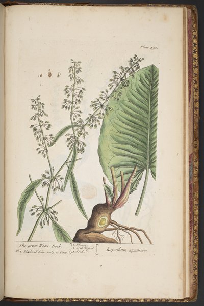 Tafel 490, aus 