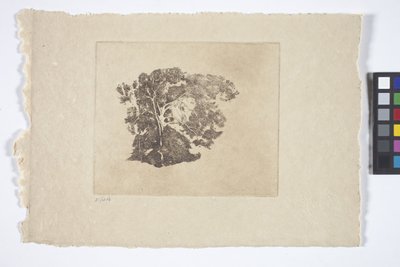 Baumstudie von Emil Carlsen