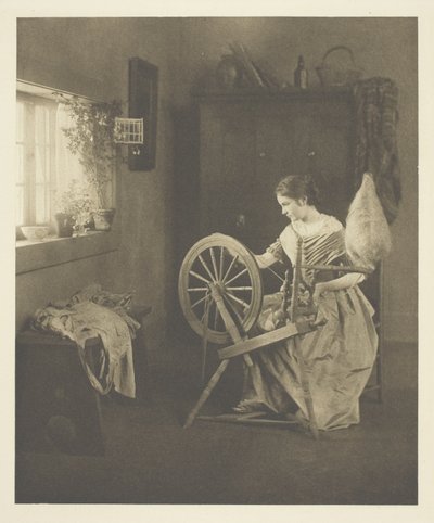 Spinnen von Emilie V. Clarkson