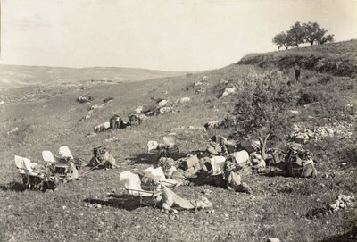 Ambulanzkamele, ca. 1916-19 von English Photographer