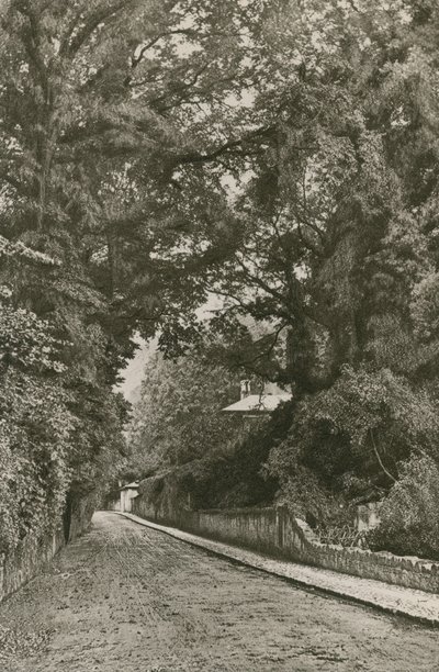 Bonchurch Road, Isle of Wight von English Photographer