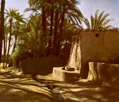 Ägypten - Karnak von English Photographer