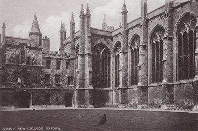 Quadrangle New College, Oxford von English Photographer