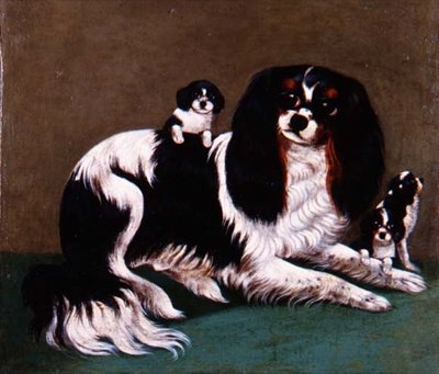 Eine Familie von King Charles Spaniels, Provinzschule von English School