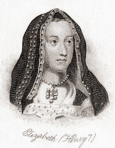 Elisabeth von York von English School
